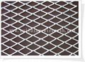 Expanded Wire Mesh 5