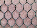 Hexagonal Wire Mesh 2