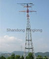 QTZ50P(PT4810) topless tower crane 3