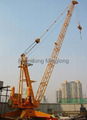 QTZ50P(PT4810) topless tower crane 4