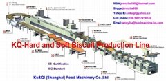 KQ Soft and Hard Biscuit Production Line
