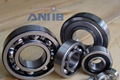 Deep groove ball bearing 1