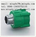 PP-R pipe fitting----male screw coupling 1