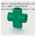 PP-R pipe fitting----male screw coupling 2