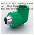 PP-R pipe fitting----female screw tee 2