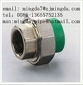 PP-R pipe fitting----female screw tee 4