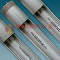 Energy-saving Fluorescent Tube YSG-11W 1