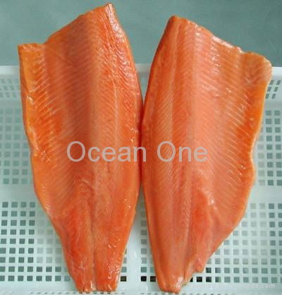 salmon fillet