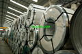 Cold Rolled Stainless Steel Strip