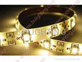 3528 SMD LED Strip 3