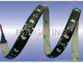 3528 SMD LED Strip 4