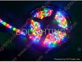 5050 RGB LED strip 