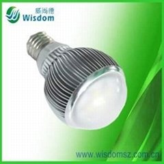 1-10W LED Bulbs