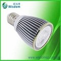 1W-100W LED Sopt Light(CE/ROHS) 3