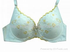 Fashion embroider beautiful good quality sexy bra  underwear