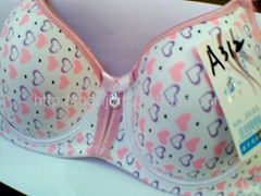 wholesale different size design bra  500dozons 