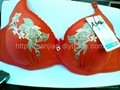 OEM underwear bra different size color design good quality 2