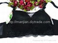 lovely  embroider lace bra underwear wholesale retail 10pcs with paypel 3
