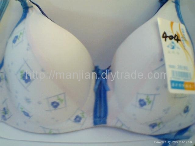 lovely ladylike sexy simple beautiful bra  underwear wholesale or oem 5