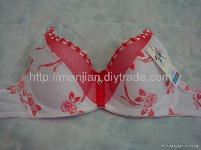 arabesquitic dichrom girl lady bra underwear briefs lovely sexy suitable fitting 3