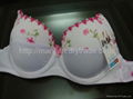 bra underwear purity girl sexy charming wholesale or oem 1