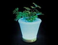 LED light round flowerpot 1