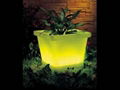 Quadrilateral lighting pot 2