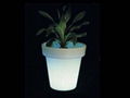 outdoor flowerpot 2