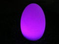 egg shape lighting