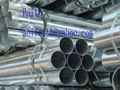 ASTM A53 hot dipped galvanized steel pipe 1