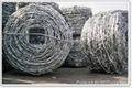 Barbed wire 5