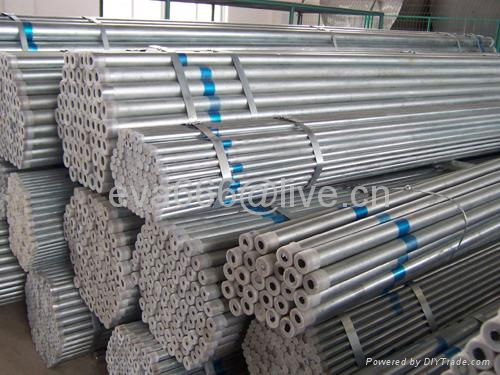 Q195-Q345 galvanized pipe 4