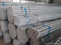 Q195-Q345 galvanized pipe 4