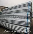 Q195-Q345 galvanized pipe 5