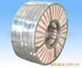 hot dipped galvanized strip 4