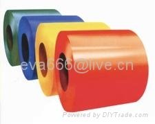 pre-painted steel sheet coil