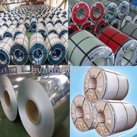 pre-painted steel sheet coil 3