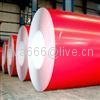 pre-painted steel sheet coil 4