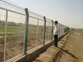 wire mesh fence 5