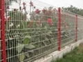 wire fencing 3