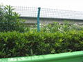 garden fence