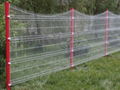 square mesh fence 4