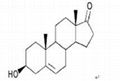 Dehydroepiandrosterone [DHEA]