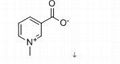 Trigonelline