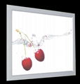 LED slim line light box  (FC type) 4