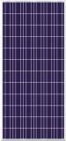 250w Poly-Crystalline Silicon Solar Panel (BR-P250W)