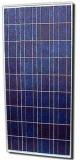 120w Poly Solar Modules (BR-P120W)