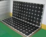 175w Solar Modules (BR-M175W)