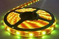 5050 flex led strip light(RGB,60pcs/m)