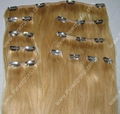 clip-in hair extension